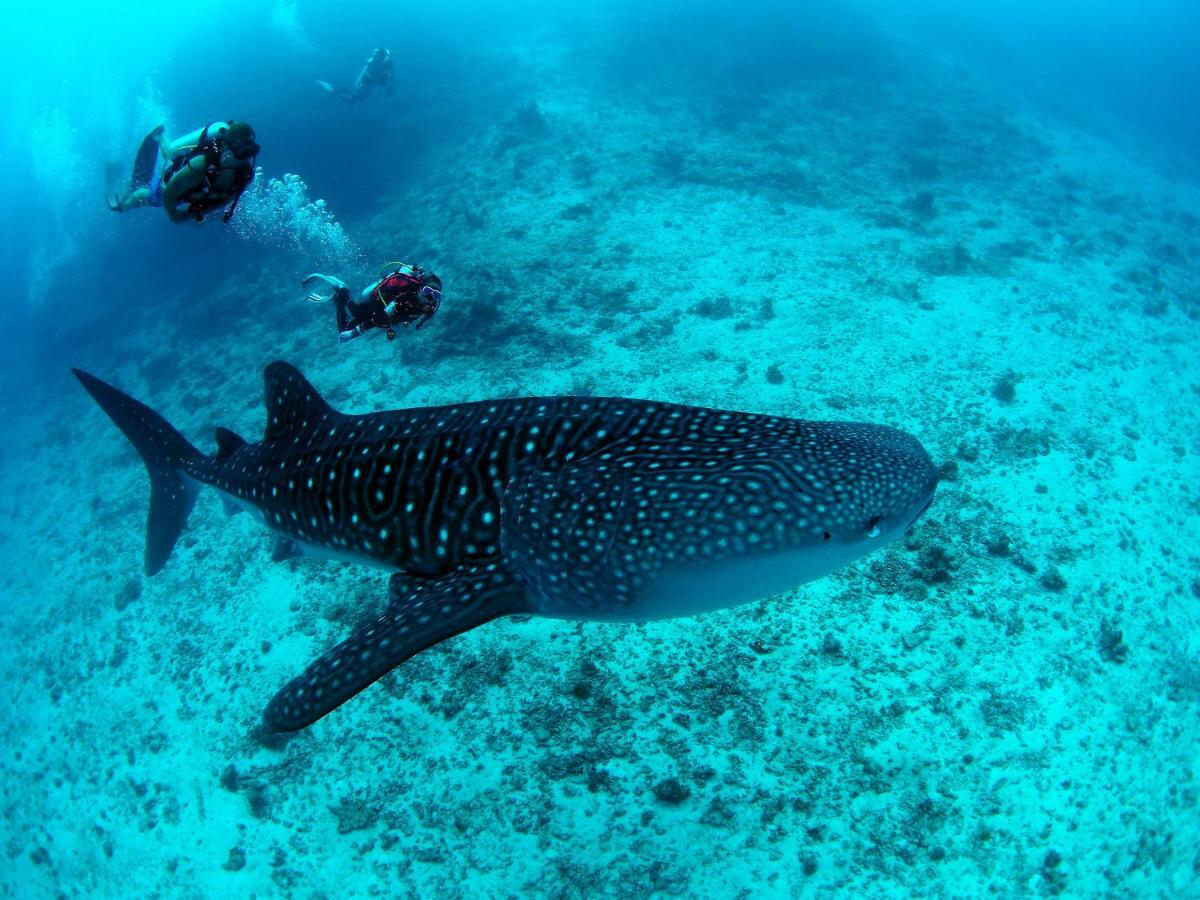 White Sand Dhigurah Dhigurah  Zewnętrze zdjęcie
