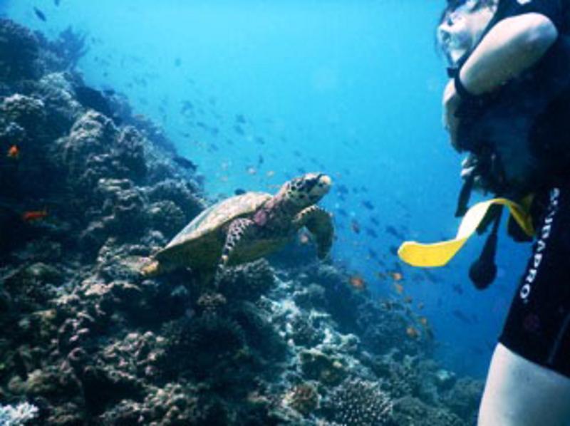 White Sand Dhigurah Dhigurah  Zewnętrze zdjęcie