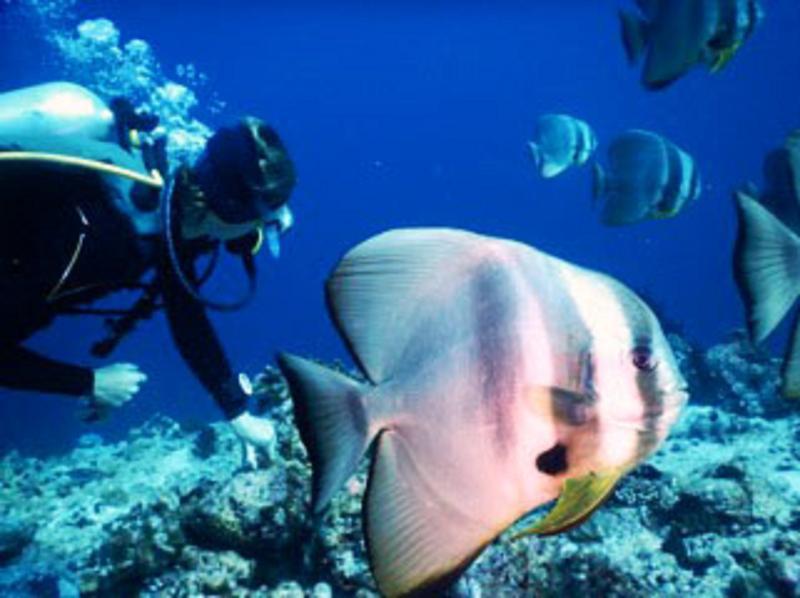 White Sand Dhigurah Dhigurah  Zewnętrze zdjęcie